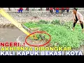 Download Lagu Part 1!Penyebab Utama Kali Kapuk  Mati Bertahun Tahun,DiBongkar