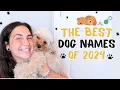 The Best Dog Names of 2024 - Male Female Puppy Name Ideas