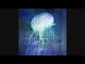 Carbon Based Lifeforms - Photosynthesis (Live Version)