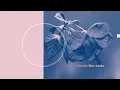 Download Lagu Nemo - The Code (Lyric Video)