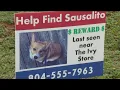 Charlottesville-area business helping to reunite lost pets with their owners