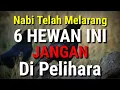 Lagu PERLU DICATAT !! 6 Hewan Yang Dilarang Dipelihara Dalam Islam