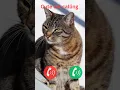 Download Lagu cat #ringtone #smartphone #music #ringtones #song #device #cat #funnycallringto #funny