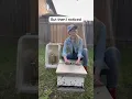 Download Lagu Catching a Swarm of Bees