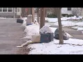Trash pickup delays