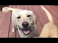 Volunteer at the Sanctuary at Haafsville