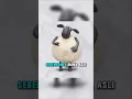 Lagu siapa nama asli domba yang satu ini? #cartoon#shaunthesheep#shorts