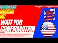 WAIT FOR CONFIRMATION BDSX STOCK ANALYSIS BIODESIX INC STOCK