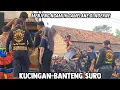 Download Lagu MENJENG NGAMUK GAMELAN DIHENTIKAN TERLALU LAMA❗️BANTENGAN JARANAN MANGGOLO PUTRO Live Kepanjen Pace