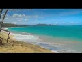 Sea waves with relaxing seagulls in the background