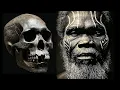 Lagu Did Denisovan Survive Until 15,000 Years Ago in Papuan Highlands?