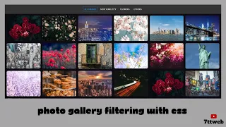 How to Create a Photo Gallery Filtering with HTML CSS and JavaScript