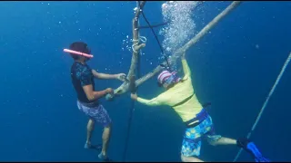 HELP! Our Anchor Chain is Wrapped Around a TREE!!! E86