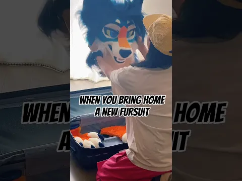 I adopted a new dog… My dog was not happy #furry #fursuit #meme #vacation