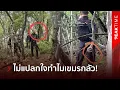Download Lagu ยอมใจ \
