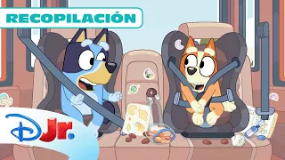 ¡No te pierdas esta recopilación con los cortos de Bluey! 😁 | @DisneyJuniorES