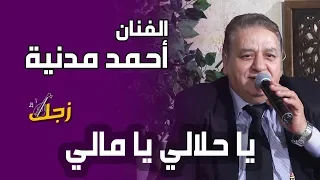 البداوية يا حلالي يا مالي الفنان أحمد مدنية 