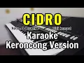 Download Lagu CIDRO ( Didi kempot ) - Karaoke keroncong Version NADA CEWEK