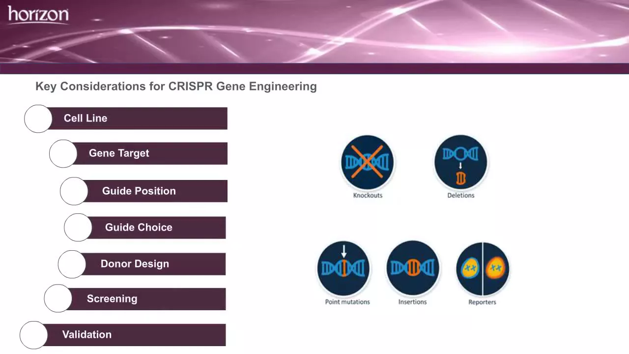 CRISPR-Cas9 genome engineering: Experimental Design and Applications