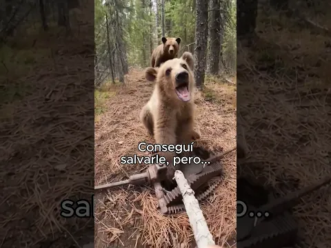 Me Obligó A Bajar❤️ #animal #animales #naturaleza