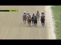 Tampa Bay Downs Live Stream