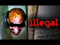 The TikTok Algorithm s G re Problem