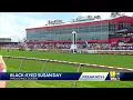 What you need to know before going to Pimlico