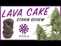 STRAIN REVIEW LAVA CAKE