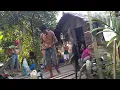 Download Lagu Kehidupan suku dayak, di pedalaman kalimantan tengah, indonesia