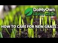 How to Care for New Grass DoMyOwn com