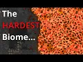 RimWorld ALL BIOMES EXPLAINED