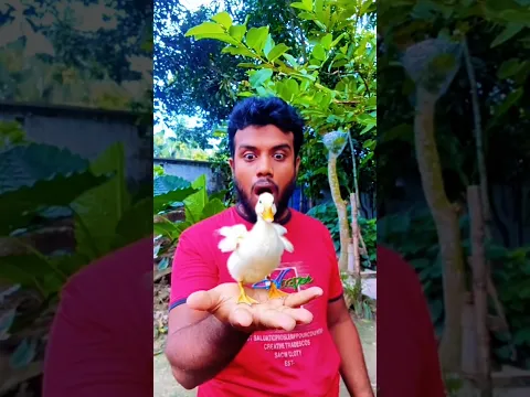 ইন্টারন্যাশনাল প্রতিভা দেখুন 😂 #viral #trending #shorts