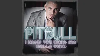 I Know You Want Me Calle Ocho Extended Mix 