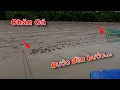 Download Lagu Đuổi Cá Bống Sao trời nắng cá nằm đầy trên bãi bùn | GĐCG #964