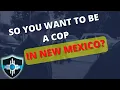 New Mexico Law Case Law For Cops