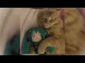 ガッチュー! by giga ft. miku • rin • len ✰ spedup