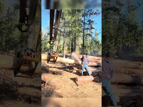 The versatility of this truck is incredible