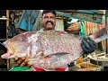Lagu KASIMEDU 🔥 MR.DURAI | BIG SIZE KORALI FISH CUTTING VIDEO | 4K VIDEO | KM FISH CUTTING | IN KASIMEDU
