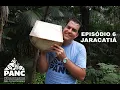 Download Lagu EPISÓDIO 6 - JARACATIÁ | #pancnaveia #valdelykinupp