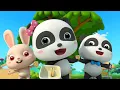 Lagu Bayi Panda Mengajarkan Bagaimana Pentingnya Berbagi Dengan Teman | BabyBus Bahasa Indonesia