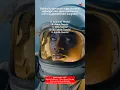Download Lagu AÖF Sınavlarına Hazırlık için Eğitim Psikolojisi    Dersi Çalışma Sorusu