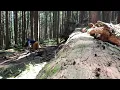 NOTG Log Drop at Tiger Mountain in early 2025