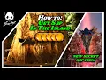 How To Get SAP In The Island - NEW WAY OF GETTING SAP ARK Survival Ascended