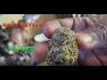 Weed Smoking Session - Gary Payton