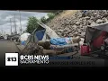 Stockton dog rescue working to help homeless residents and abandoned dogs