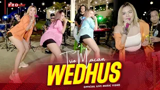 wedhus trio macan official music video live version