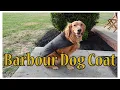 Barbour dog coat