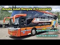 Lagu ROSIN TAMBAH ARMADA BARU‼️Ngisi Jalur Trenggalek - Bandung Mulai 18 Des 2025❗Trenggalek MENYALA🔥