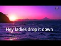 Download Lagu Hey ladies drop it down || full song || lyrics