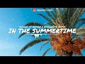 IN THE SUMMERTIME _- SHAGGY & RAYVON X VOSAAH[679] REMIX